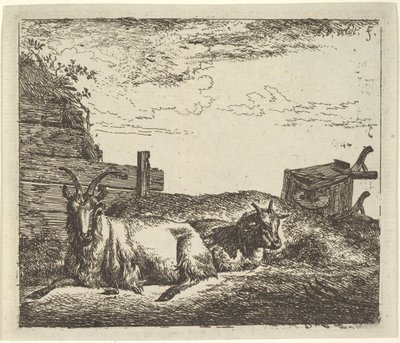 Cabras Recostadas, de Diferentes Animais. de Adriaen van de Velde