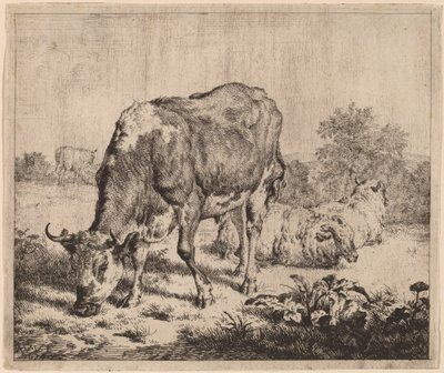 Touro malhado e três ovelhas de Adriaen van de Velde