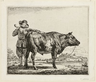 O vaqueiro e o touro de Adriaen van de Velde