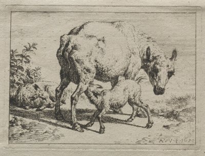 A ovelha e dois cordeiros, 1670. de Adriaen van de Velde