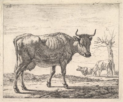 Três vacas. de Adriaen van de Velde