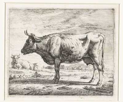 Duas vacas e uma ovelha
Vários animais (título da série) de Adriaen van de Velde
