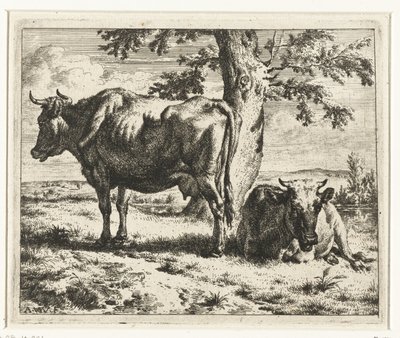 Duas vacas debaixo de uma árvore
Vacas e ovelhas (título da série) de Adriaen van de Velde