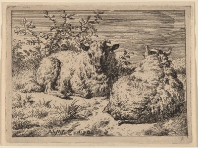 Duas ovelhas reclinadas de Adriaen van de Velde