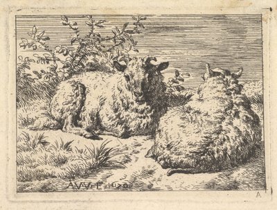 Dois Carneiros Recostados, 1670. de Adriaen van de Velde
