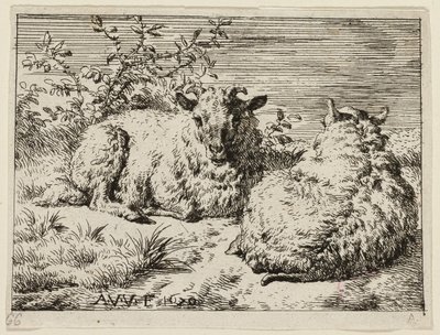 Duas ovelhas de Adriaen van de Velde
