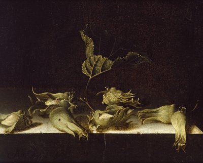 Ainda vida com avelãs, 1696 (óleo sobre papel) de Adrian Coorte