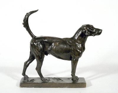 O cão de caça "Pytchley Forager de Adrian Jones
