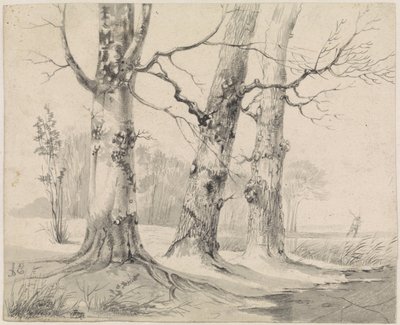 Paisagem de Inverno de Adrianus Eversen