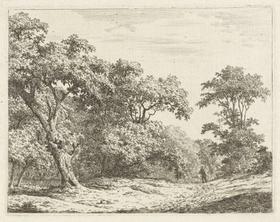 Paisagem com árvores e um homem na estrada de Adrianus Serné