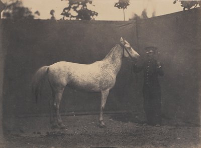 Pascalina, c. 1855-60. de Adrien Alban Tournachon