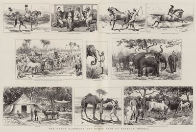 O Grande Elefante e Feira do Cavalo em Sonepur, Bengala de Adrien Emmanuel Marie