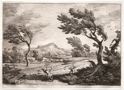 Panorama. de Adrien Manglard