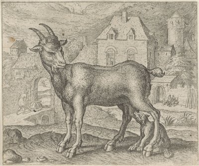 Fábula da cabra e do jovem lobo de Egidius  Sadeler (II)
