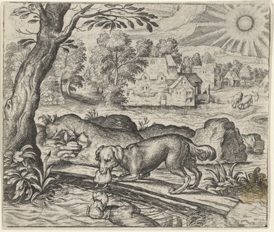A fábula do cão e o seu reflexo de Egidius  Sadeler (II)