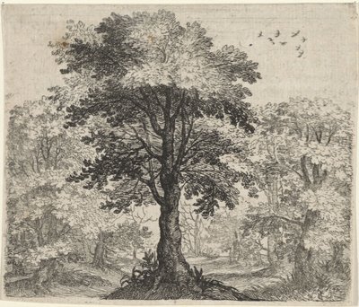 Fábula do Olmo e do Carvalho de Egidius  Sadeler (II)