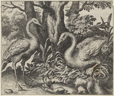 Fábula do cisne e da cegonha de Egidius  Sadeler (II)