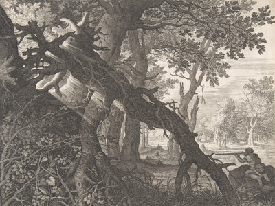 Uma floresta com uma caça ao coelho,.n.d. de Aegidius Sadeler II