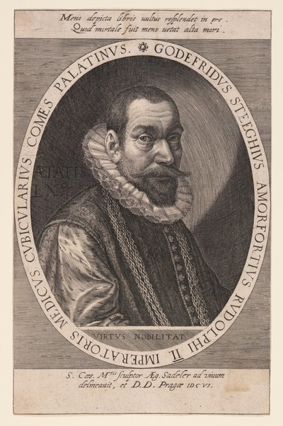 Godfried Steeghuis, Médico e Camareiro de Aegidius Sadeler II