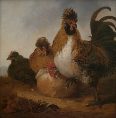 Galo e galinhas de Aelbert Cuyp