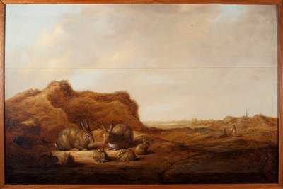 Paisagem com coelhos Pintura de Albert (Aelbert ou Aelbrecht) Cuyp (1620-1691) 1641-1642 Dim. 44x67 cm Genes, Musei di Strada Nuova (ex Palazzo Rosso) de Aelbert Cuyp