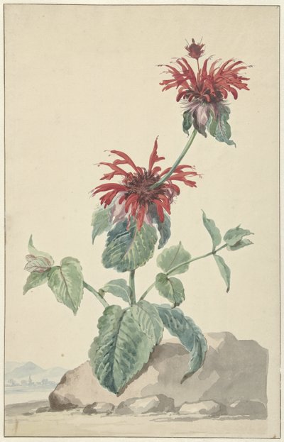 Uma Bergamota Vermelha numa Paisagem de Aert Schouman (circle of)