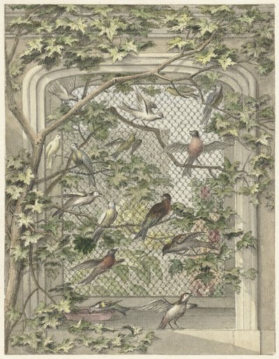 Aviário com quatorze pássaros de Aert Schouman (possibly)