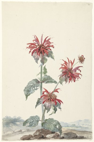 Uma bergamota vermelha em uma paisagem de Aert Schouman (signed by artist)