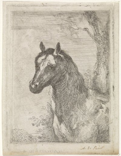 Cabeça de cavalo de Aert Schouman (signed by artist)