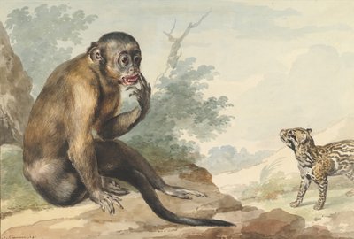 Um macaco sentado em uma rocha olhando para uma civeta, 1764. de Aert Schouman