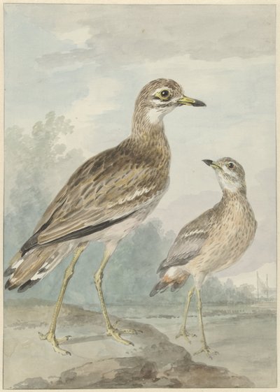 Dois caprichos de Aert Schouman