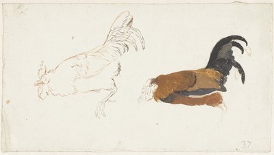 Dois estudos de um galo morto de Aert Schouman