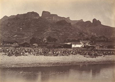 Mercado dos Patos, c. 1869. de Afong Lai