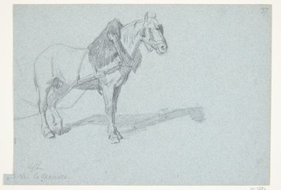 Um cavalo de Agnes Lunn