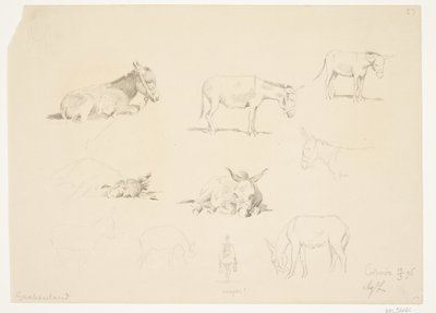 Folha de estudo com animais. de Agnes Lunn