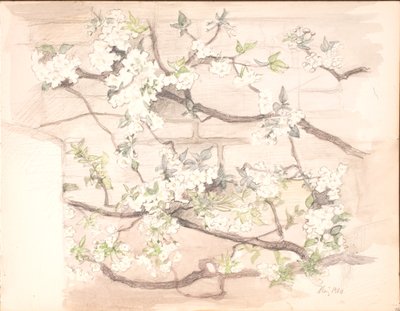 Flores de maçã de Agnes Slott Møller