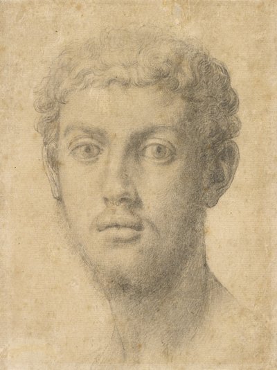 Cabeça de um homem de Agnolo Bronzino
