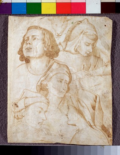 Cabeças (desenho de Agnolo Gaddi