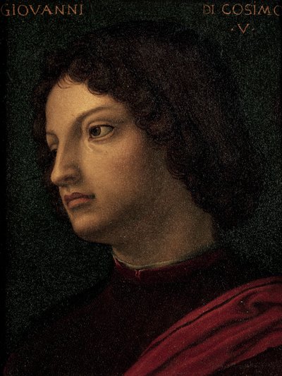 Retrato de Giovanni de Medici (Florença de Agnolo Bronzino