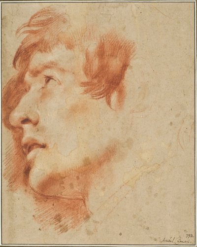 Cabeça de um jovem olhando para cima de Agostino Carracci