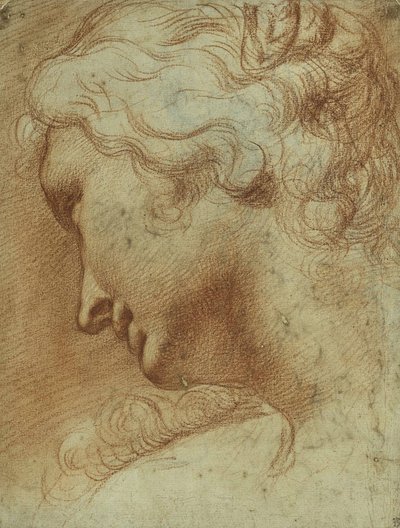 Cabeça de uma jovem mulher a olhar por cima do seu ombro direito (giz vermelho no papel) de Agostino Carracci