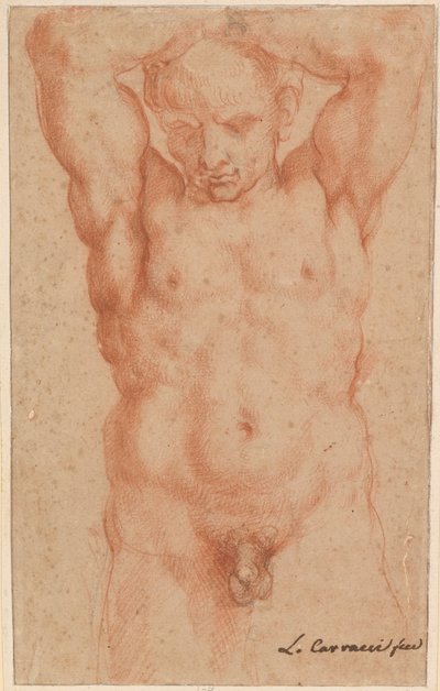 Nu Masculino de Agostino Carracci