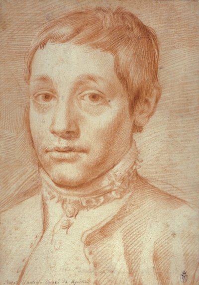 Retrato de seu filho, Antonio Carracci, 1592-95 de Agostino Carracci