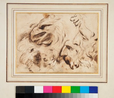Folha de estudos com o chefe de uma águia e perfis e caricaturas masculinas (caneta e tinta marrom e um pouco de aguado) de Agostino Carracci