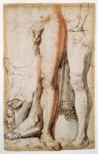 Estudos da perna esquerda de um homem, da mão esquerda e da cabeça de um homem de perfil (giz vermelho reforçado com caneta e tinta marrom, em papel cremoso com fio de arame) de Agostino Carracci