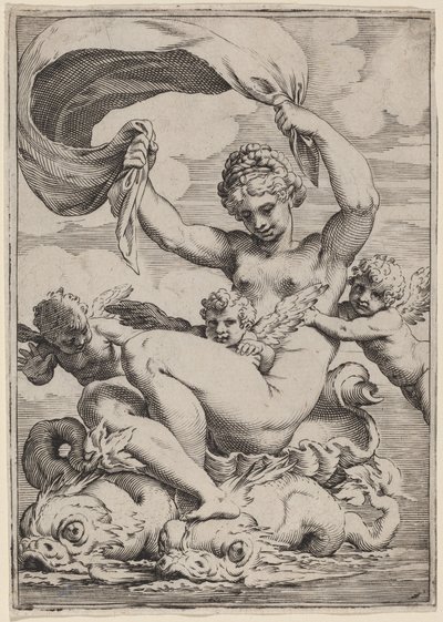 Vênus ou Galatea apoiado por golfinhos de Agostino Carracci