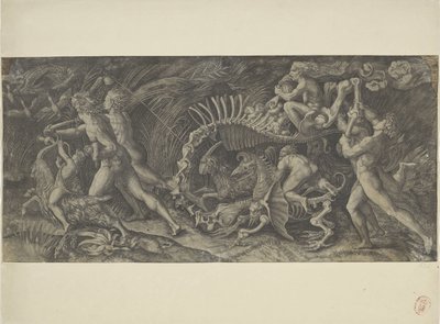 Het karkas O stregozzo de Agostino Veneziano