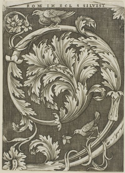 Ornamento de folhagem da antiga igreja romana de Agostino dei Musi