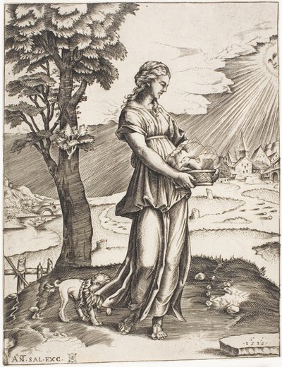A Sibila Cumea de Agostino dei Musi