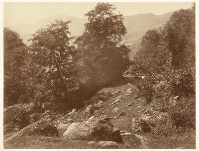 La Vallée du Lys (Coup de Vent) de Aimé Civiale